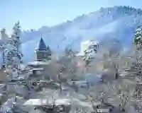 Borjomi