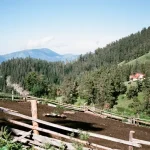 Borjomi Nightlife: From Quiet Evenings to Spa Hotel Bars &amp; Family Fun