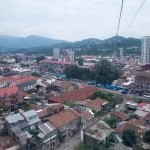 Tbilisoba (City Day), Rtveli (Grape Harvest), and the “Lions of Rock” festival in Poti