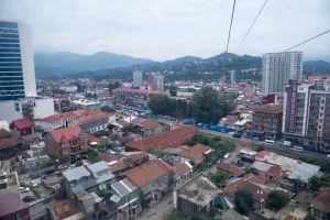 Tbilisoba (City Day), Rtveli (Grape Harvest), and the “Lions of Rock” festival in Poti