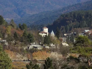 Where to Stay in Borjomi: Center, Likani, or a Spa Hotel? Your Ultimate Accommodation Guide