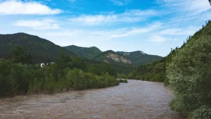 Borjomi Travel Guide: Everything You Need to Know Before You Go
