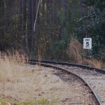 Getting Around Georgia: The Ultimate Transportation Guide for Travelers