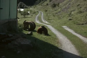 Ushguli: Europe’s Highest Village and Georgia’s Ultimate Mountain Escape