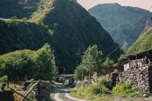 What Currency Does Georgia Use? Your Guide to the Georgian Lari (GEL)