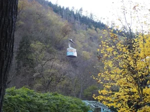 Why Visit Borjomi, Georgia? The Spa Town’s Enduring Charm