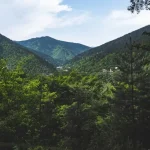 Your Ultimate Guide to Borjomi, Georgia: Plan Your Perfect Trip