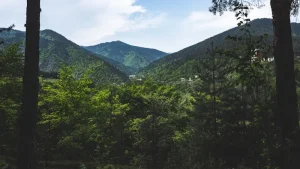 Your Ultimate Guide to Borjomi, Georgia: Plan Your Perfect Trip