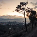 Arriving at Tbilisi Airport (TBS): A First-Timer’s Practical Guide