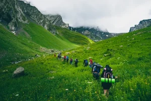 Beyond the Cafe: Exploring Georgia’s Best Co-working Options for Remote Workers