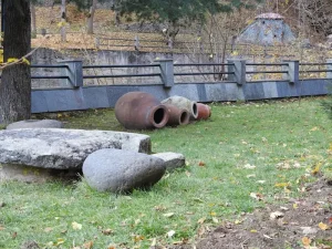 Beyond the Water: Unique Attractions You Can’t Miss in Borjomi