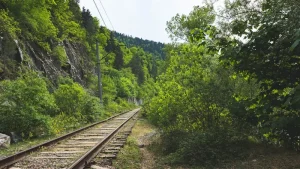 How to Buy Train Tickets in Georgia: Online, Stations &amp; Prices