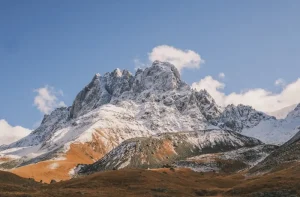 Is the Wise Card Your Best Bet for Travel in Georgia? A Full Review