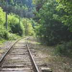 Renting a Car in Georgia: Is It Worth It for Your Trip?