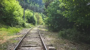 Renting a Car in Georgia: Is It Worth It for Your Trip?
