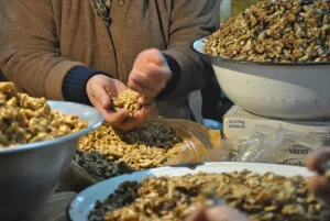 The Ultimate Guide to Shopping in Kutaisi, Georgia