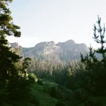 Top 10 Things to Do in Borjomi, Georgia for Every Traveler