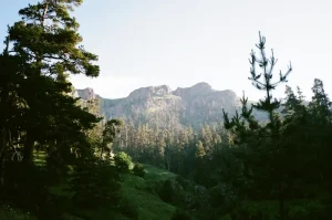 Top 10 Things to Do in Borjomi, Georgia for Every Traveler