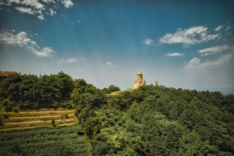 Batumi’s Summer Charm: Your July 2026 Guide to the Black Sea Gem