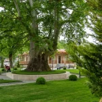 Choosing Your Base: The Best Areas to Stay in Kutaisi for Every Traveler