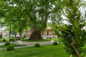 Choosing Your Base: The Best Areas to Stay in Kutaisi for Every Traveler