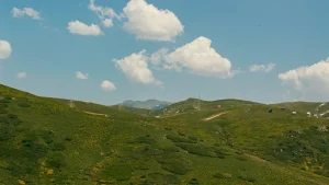 Mestia Travel Guide: Exploring Svaneti’s Majestic Towers and Trails