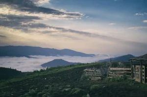The Ultimate Guide to Kutaisi Nightlife: Bars, Clubs &amp; More