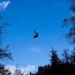 Unearthing Borjomi’s Hidden Gems: Secret Spots &amp; Local Favorites