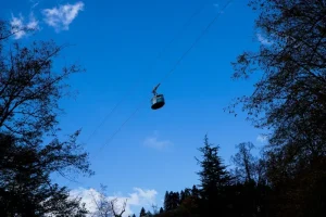 Unearthing Borjomi’s Hidden Gems: Secret Spots &amp; Local Favorites