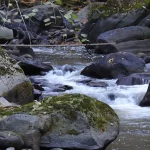 What to See in Borjomi: From Mineral Springs to Mountain Views