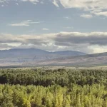Akhaltsikhe &amp; Rabati Castle: A Complete Guide to Southern Georgia’s Fortress Town