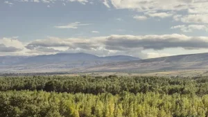 Akhaltsikhe &amp; Rabati Castle: A Complete Guide to Southern Georgia’s Fortress Town