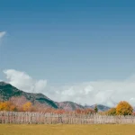 Beyond Borjomi Park: Essential Excursions in Central Georgia