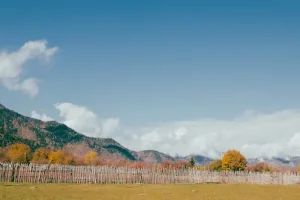 Beyond Borjomi Park: Essential Excursions in Central Georgia