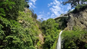 Beyond the Visa: Essential Entry Requirements for Georgia