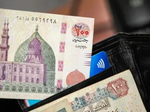 Mobile Payments in Georgia: What Apps and Services Work for Tourists?