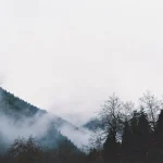 What to Buy in Borjomi: Top 10 Souvenirs and Authentic Gifts