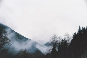 What to Buy in Borjomi: Top 10 Souvenirs and Authentic Gifts