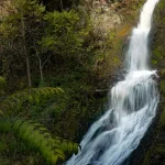 Where to Eat in Borjomi: A Foodie’s Guide to Georgian Delights