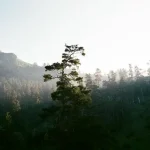 Borjomi Itinerary Ideas: How Many Days Do You Need?