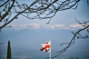 Driving in Kakheti: Your Guide to Exploring Sighnaghi and the Wine Route by Car