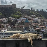 Georgia Travel Health &amp; Safety: Essential Preparations Before You Go