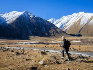 Are Credit Cards Widely Accepted in Georgia? A Traveler’s Guide